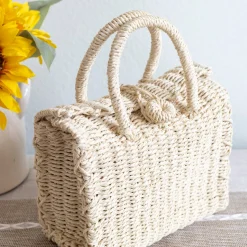 Elena Handbags Beach Straw Woven Box Crossbody Bag