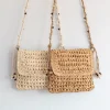 Elena Handbags Boho Straw Square Messenger Purse with Tassel