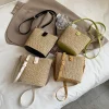 Elena Handbags Crossbody Leather and Straw Bag