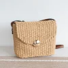 Elena Handbags Straw Woven Messenger Bag with Flap