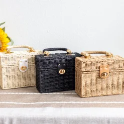 Elena Handbags Straw Woven Box Shoulder Bag