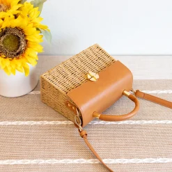 Elena Handbags Straw Woven Box Bag with Leather Flap and Trims