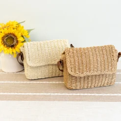 Elena Handbags Straw Woven Messenger Bag with Flap