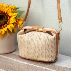 Elena Handbags Straw Woven Purse with Leather Accent