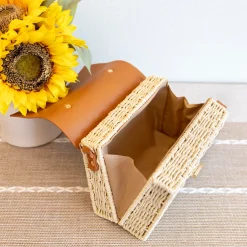 Elena Handbags Straw Woven Box Bag with Leather Flap and Trims