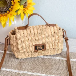 Elena Handbags Straw Woven Mini Flap Bag