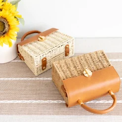 Elena Handbags Straw Woven Box Bag with Leather Flap and Trims
