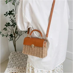Elena Handbags Straw Woven Box Bag with Leather Flap and Trims