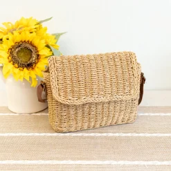 Elena Handbags Straw Woven Messenger Bag with Flap